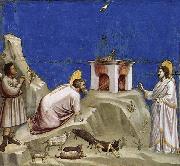 Joachim-s Sacrificial Offering GIOTTO di Bondone